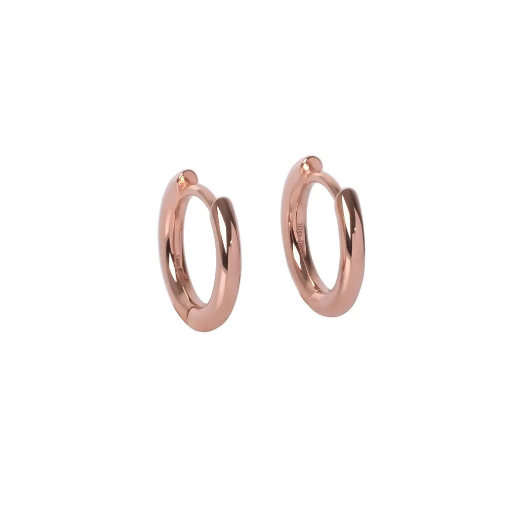 Classy Small Hoops - Rose Gold and Silver
