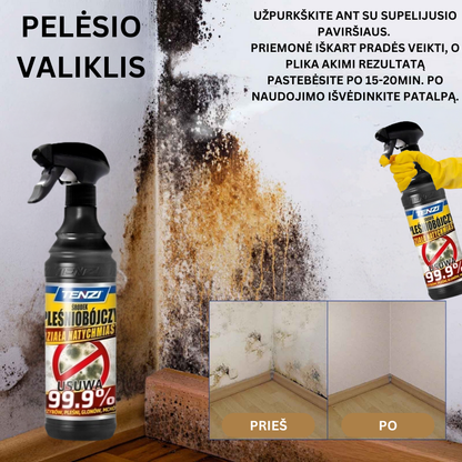 Pelėsio naikinimo priemonė - valiklis